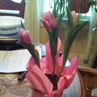 Brenda Andrews Photo 35