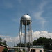 Elaine Dutton Photo 15