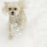 Tammy Alexander Photo 4