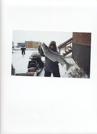 John Corlett Photo 4