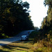 Beverly Jeffries Photo 13