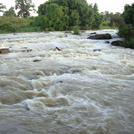 Kimloan Dinh Photo 3