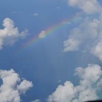 Susan Dillard Photo 41