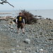 Jesse Combs Photo 15