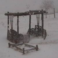 Debbie Frazier Photo 10