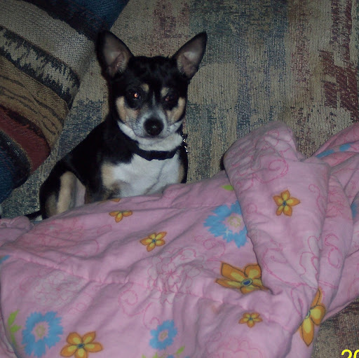 Peggy Conley Photo 30