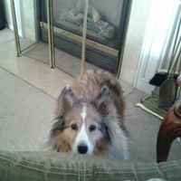 Janice Gates Photo 35