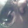 Keesha Jenkins Photo 5