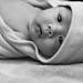 Joshua Weeks Photo 33