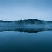 Dawn Reid Photo 12