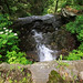 Lisa Strom Photo 29