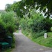 Jill Hills Photo 9
