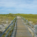 Brewster Ellis Photo 5