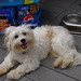 Peggy Riggs Photo 23