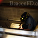 Jason Fisch Photo 14