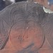 Jonathan Wolcott Photo 7