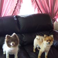 Teresa Helton Photo 6