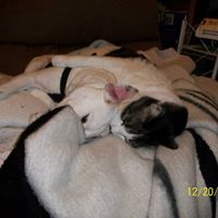 Helen Gibbs Photo 26