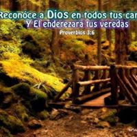 Frances Rosario Photo 15