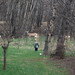 Jamie Deer Photo 11