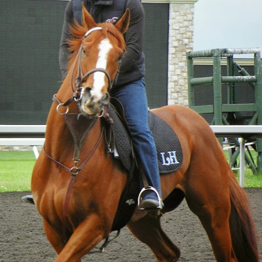 Cindy Adkins Photo 26