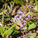 Elva Sharp Photo 6