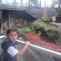 Marisel Quintero Photo 4