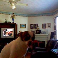 Wayne Inman Photo 24