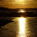 Dawn Rowe Photo 17