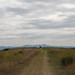 Michael Felt Photo 17