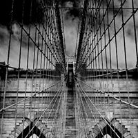 Victor Martins Photo 38