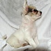 Jeannie Weeks Photo 11