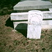 John Clausen Photo 19