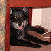 Spencer Packer Photo 9