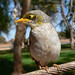 Marla Bird Photo 10
