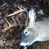 Keith Grove Photo 34