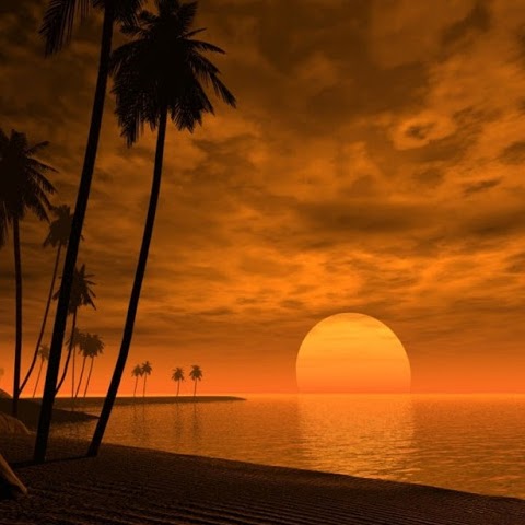 Carlos Ray Photo 4