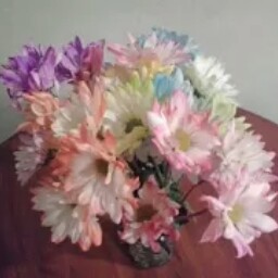 Leeann Allen Photo 26