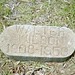 Walter Wilson Photo 39