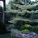 Martha Latham Photo 14