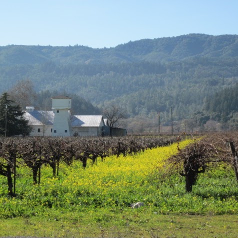 Annette Shafer Photo 5