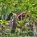 Brooks Russell Photo 20