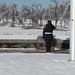 Gerald Solomon Photo 31