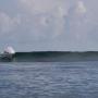 Wayne Murray Photo 21