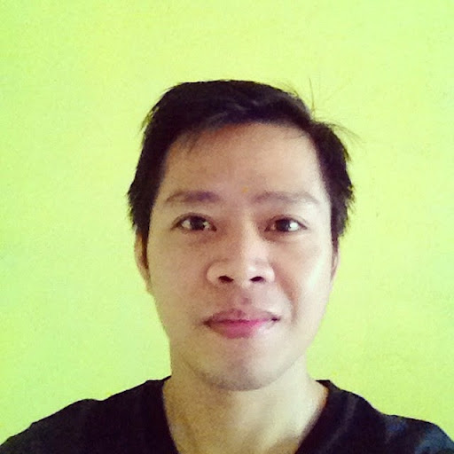 Raymond Nicolas Photo 7