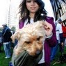 Sandy Chan Photo 39