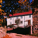 Ellen Applegate Photo 3