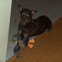 Jenifer Plummer Photo 4