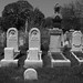 John Brooke Photo 48