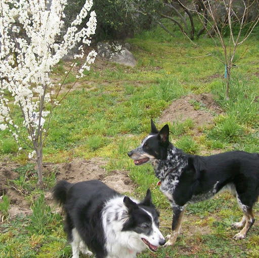 Cynthia Macdonald Photo 33